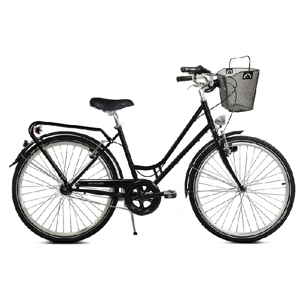 Vélo hollandais avec panier