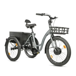 tricycle à assistance électrique
