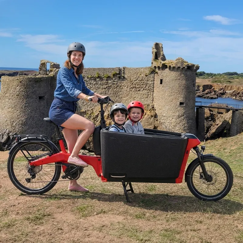 biporteur cargo à assistance électrique premium