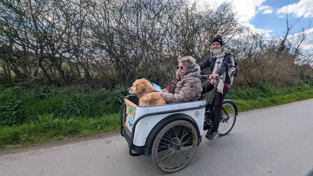 triporteur famille chien ile dyeu